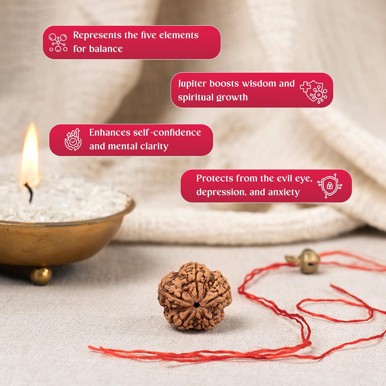 Original 5 Mukhi Rudraksha