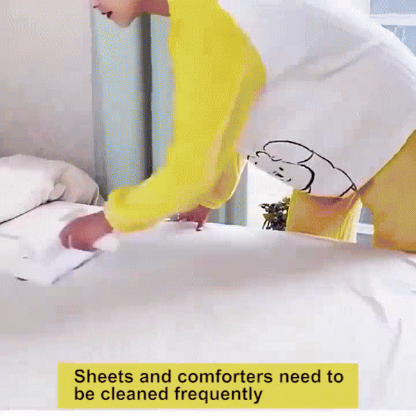 Cueen Cordless Dust/Mite Remover