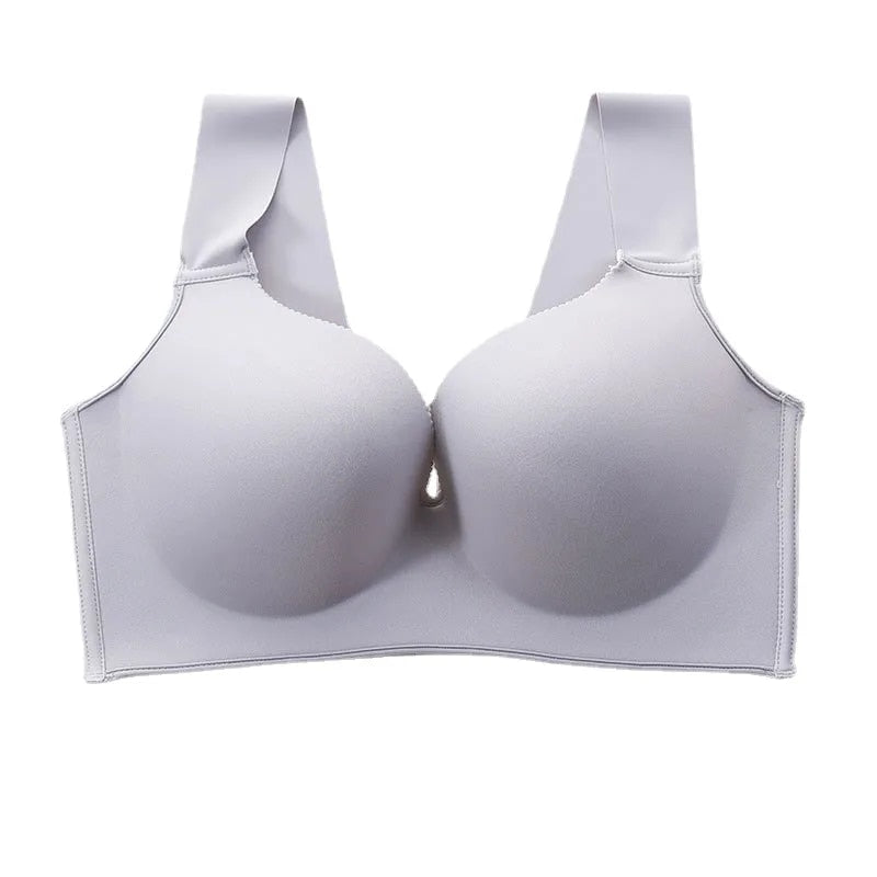 Pheme Plus Size Silk Seamless Bra (Pack Of 4)