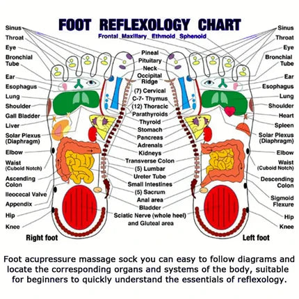 Cueen™ Foot Reflexology Socks with Massage Stick