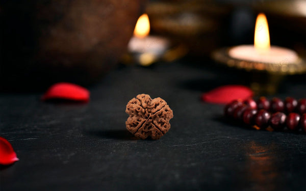 Original 5 Mukhi Rudraksha