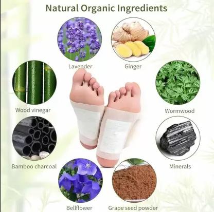 Tatsumi Herbal Detox Foot Patches